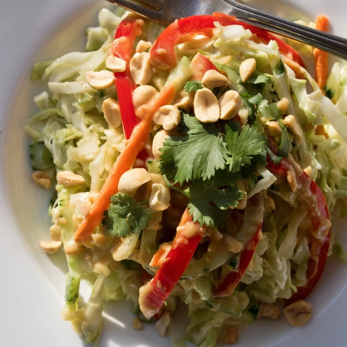 Colorful Thai salad peanut sauce drizzled over crisp cabbage, carrots, and bell pepper